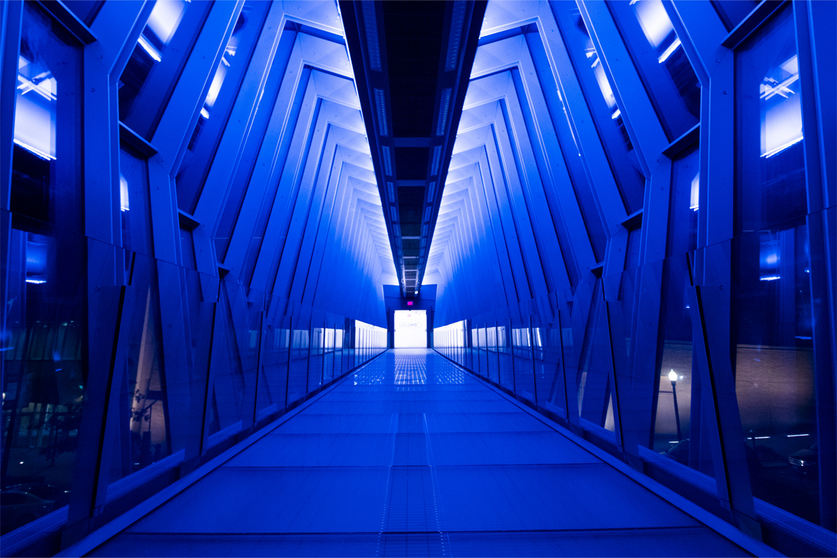 Portfolio Image