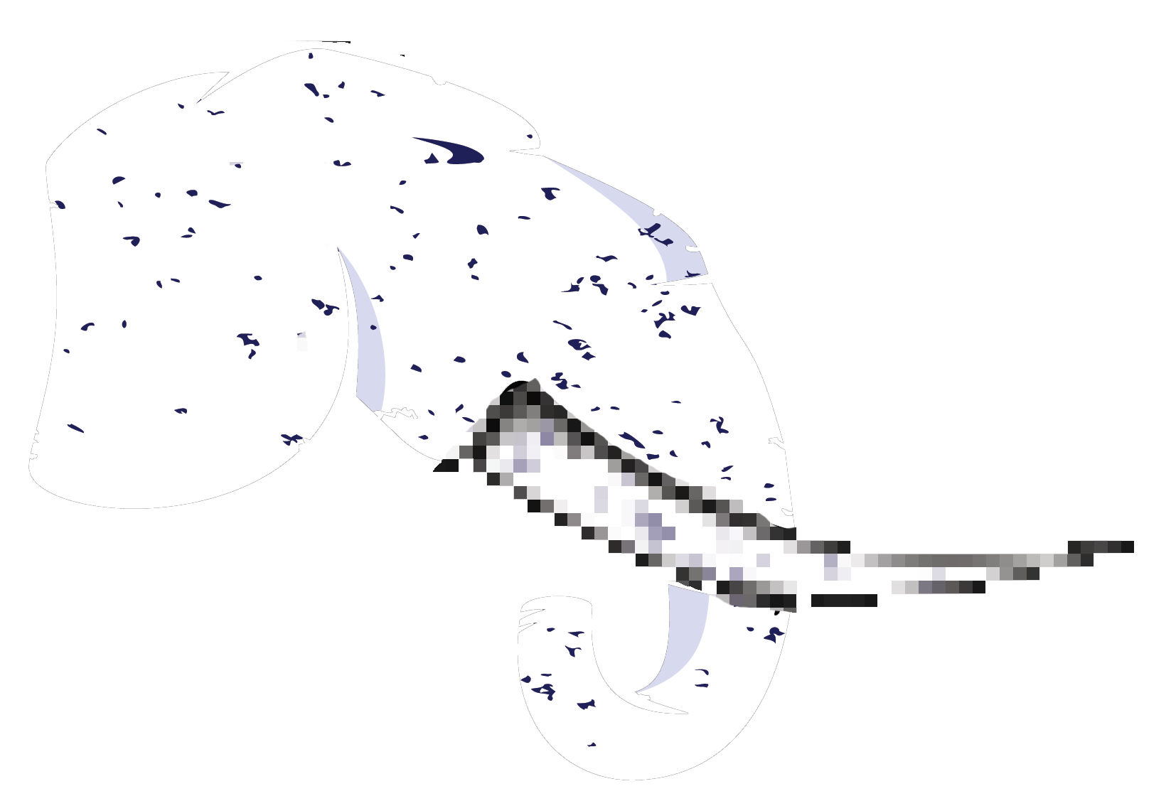 Digital Tusks Logo